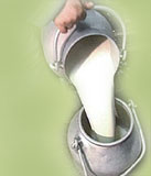Steigerung der Milchqualitt
