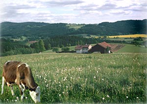 Milchwirtschaft